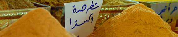 Jebel self-catering in Dubai, Booking Terms & Conditions